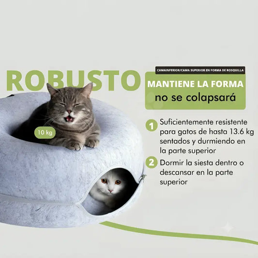 Cueva Curiosa™