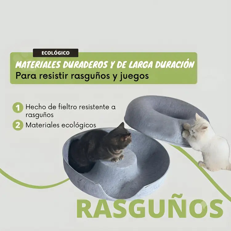 Cueva Curiosa™