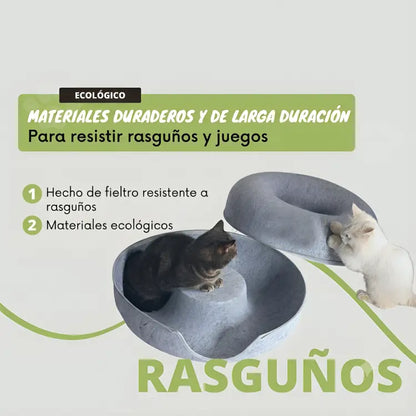 Cueva Curiosa™