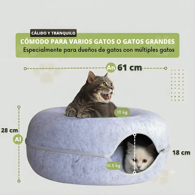 Cueva Curiosa™