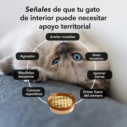 Rascador y Refugio Felino