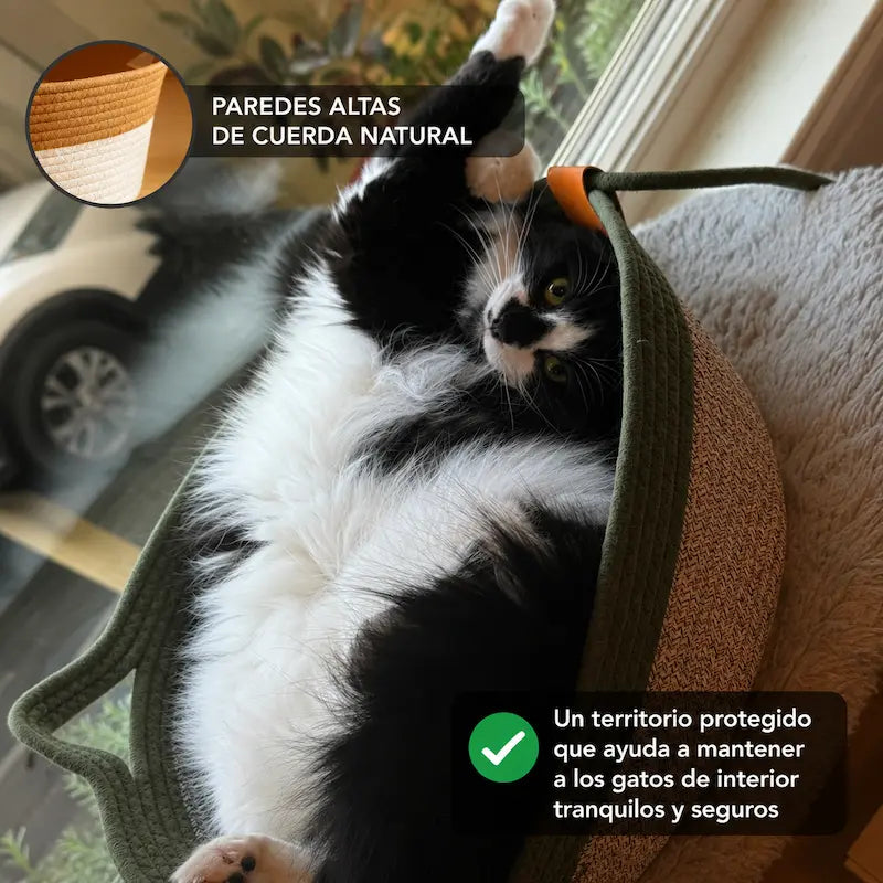 Rascador y Refugio Felino