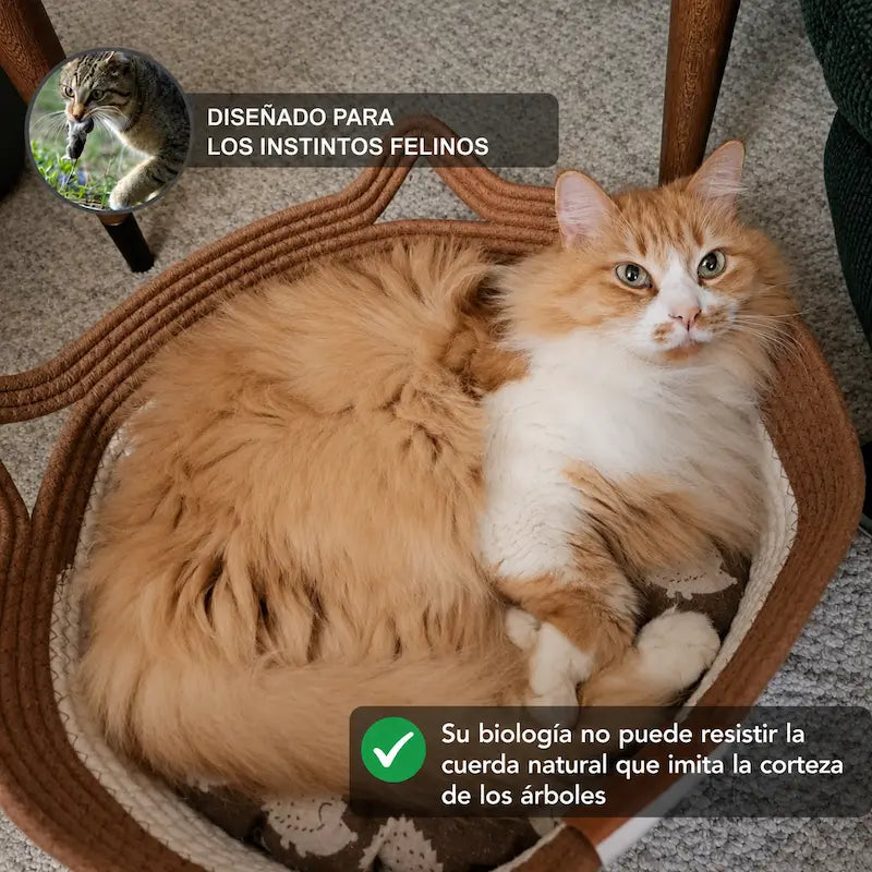 Rascador y Refugio Felino