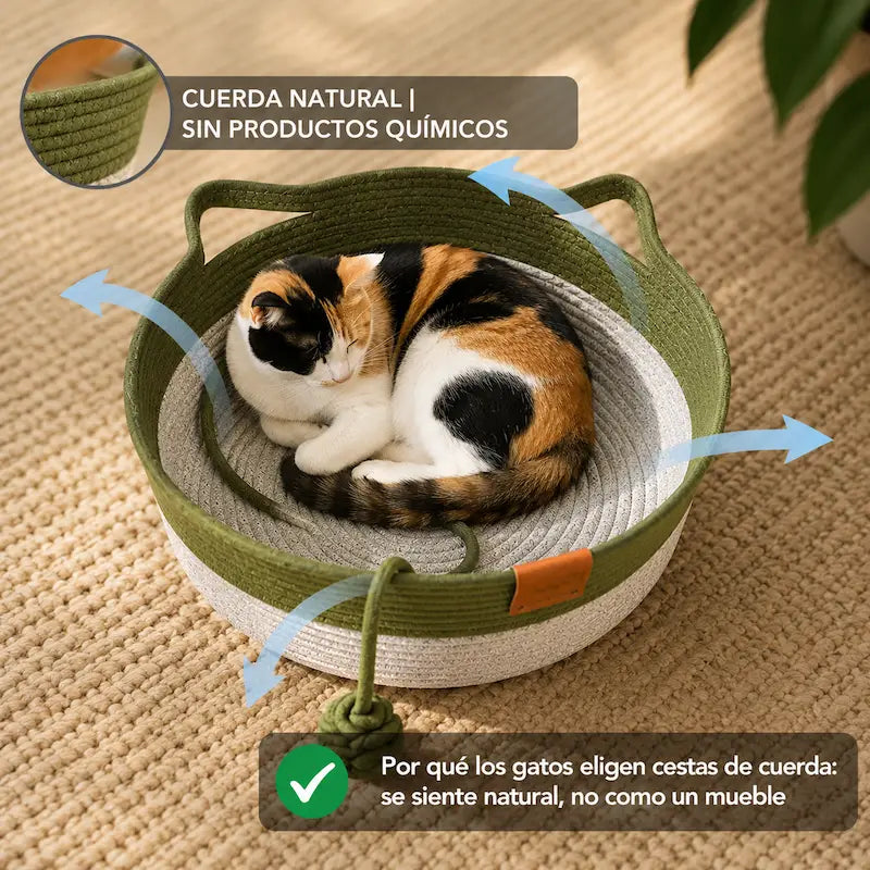 Rascador y Refugio Felino