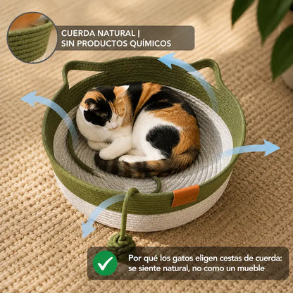 Rascador y Refugio Felino