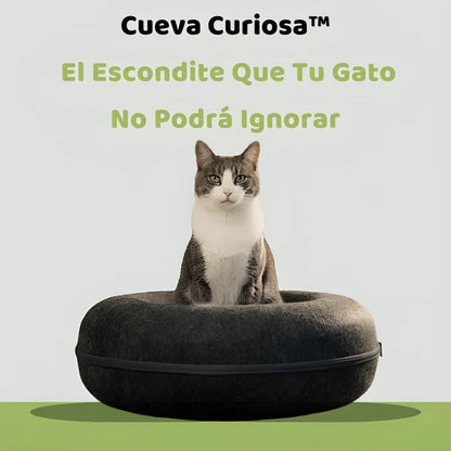 Cueva Curiosa™